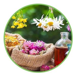 بذر گیاهان دارویی